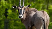 3 Days 2 Nights Samburu National Reserve Private Safari Package