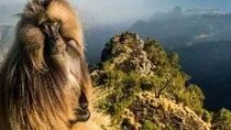 Day Trek to Simien Mountain
