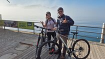 Scenic Bike Tour with a Lake Cruise Adventure