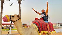 Private Morning Desert Safari With Sandboarding and Camel Ride