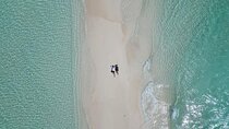 Mnemba Snorkeling, Lunch Break, Swim with Turtles, Clear Kayak