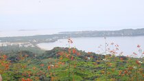 Private Tour of Cerro del Mono
