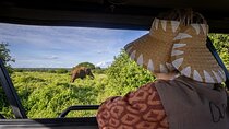 9 Days Tanzania Big Five Safari and Zanzibar Beach Holiday 