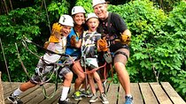 Puerto Limon Canopy Adventure and Tortuguero Jungle Cruise 