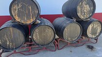 Private Tour of Arrábida and Proof of Moscatel