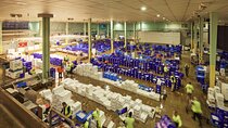 Sydney Fish Market Behind the Scenes Walking Tour