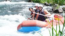 Sidemen Private Rafting Tour on Telaga Waja – Includes Lunch