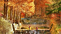Jeonju Hanok Village Full-Day Tour: Jangtaesan Autumn Foliage