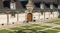 Ruinart Wine Tasting and Private Tour in Champagne