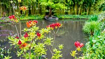 Private Live Guided Giverny, Honfleur, Etretat Cliffs by Mercedes