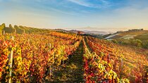 Monforte d'Alba Langhe with unforgettable wine tasting