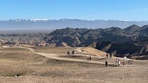 Charyn Canyon and Black Canyon 1 Day Private Tour 
