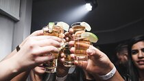 Night PubCrawl Tour in Frankfurt - Shots and Party!