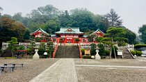 Ashikaga Flowers Park Pvt. One Day Tour with Pickup 