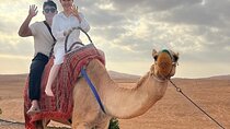 Private Morning Desert Safari With Camel Ride