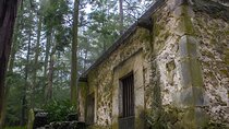 Discover Hiking Trails and a Convent in Desierto de los Leones 