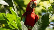 3 Days Manu Park Tour with Accommodation