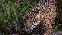 7 Days Manu National Park Adventure