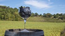 Exclusive Tuscan Pinot Noir, Land of Medici Family