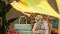 Private Shopping Tour in Mykonos