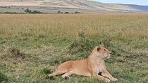 3 Days Samburu National Reserve Tour 