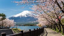 Mt Fuji Private Day Tour In Luxury Vehicle with English Driver