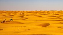 Full Day Wadi Bani Khalid and Wahiba Sands Safari from Muscat
