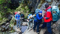 Hike to Shira Plateau on Mount Kilimanjaro Guided FullDay Tour