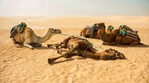 The Great Raid of Southern Tunisia: Twelve and Tozeur 03 Days