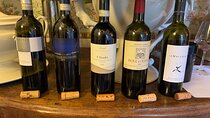 Wine tasting in Lucca with sommelier - The great wines of Tuscany