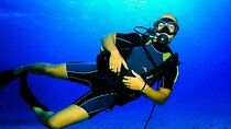 Professional Scuba Diving Trip with Lunch & Transfer Hurghada 