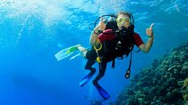 Scuba Diving Beginner Boat Trip with Lunch - Marsa Alam