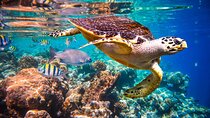 Marsa Mubarak Full Day Trip With Lunch & Transfer - Marsa Alam