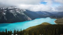Discover 9 Iconic Banff Sights in a Day!
