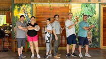 Chocolate Tour & Lunch 
