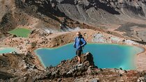 Tongariro Crossing : PRIVATE TRANSFER Leaving AUCKLAND