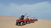 Experience an ATV Safari With Camel Ride - Sharm El Sheikh