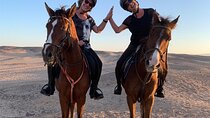 Horse Riding 2 hours At Desert With Transfer - Sharm El Sheikh