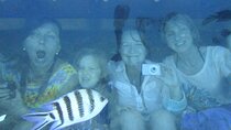 Semi-Submarine Sea Trip with Transfers – Sharm El Sheikh