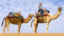2 Hours Camel Ride Adventure Through the Desert – Sharm El Sheikh