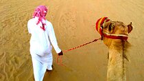 Dubai Desert Safari Camel Ride and ATV Bike with BBQ Dinner