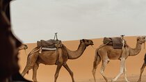 Marrakech To Merzouga Tour