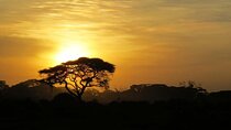 From Cape Town Aquilla sunset safari With All Inclusive