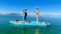 Family Paddle board "Mantaray" Rental - up to 4 people