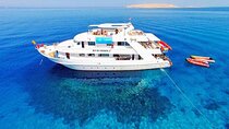 Sharm El Sheikh Boat Trip and Snorkeling with Lunch and Transfer