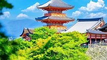 Kiyomizu Temple Fushimi Inari and Nara Park day Tour Kyoto/Osaka
