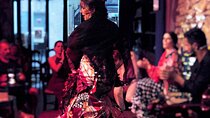 Malaga: The Ultimate Flamenco & Tapas Tour 