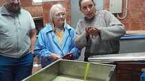 Tarragona: History & Olive Oil tasting from Barcelona