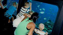 Sharm El Sheikh Submarine Ride with Transfer