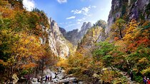 Autumn Trip for Mt. Seorak and Garden of Nature and Flower Fest